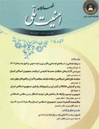 امنیت ملی