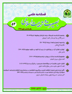 بصیرت و تربیت اسلامی - تابستان 1387 - شماره 11