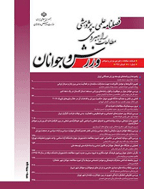 مطالعات راهبردی ورزش و جوانان