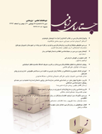 جستارهای زبانی - خرداد و تیر 1400 - شماره 62