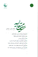 سیاست متعالیه