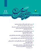 مطالعات ادبی متون اسلامی
