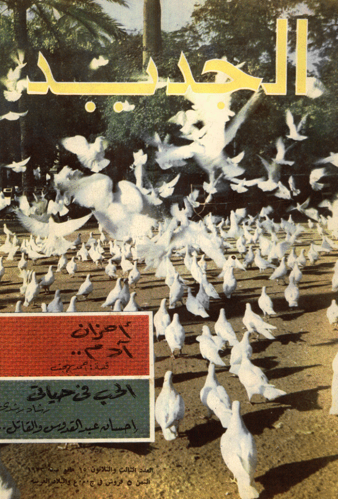 الجدید - 15 مایو 1973 - العدد 33