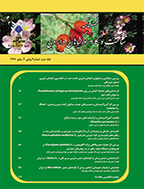 شناخت و کاربرد گیاهان دارویی - تابستان 1387 - شماره 1