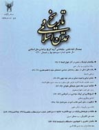 تاریخ و تمدن اسلامی - تابستان 1384 - شماره 1