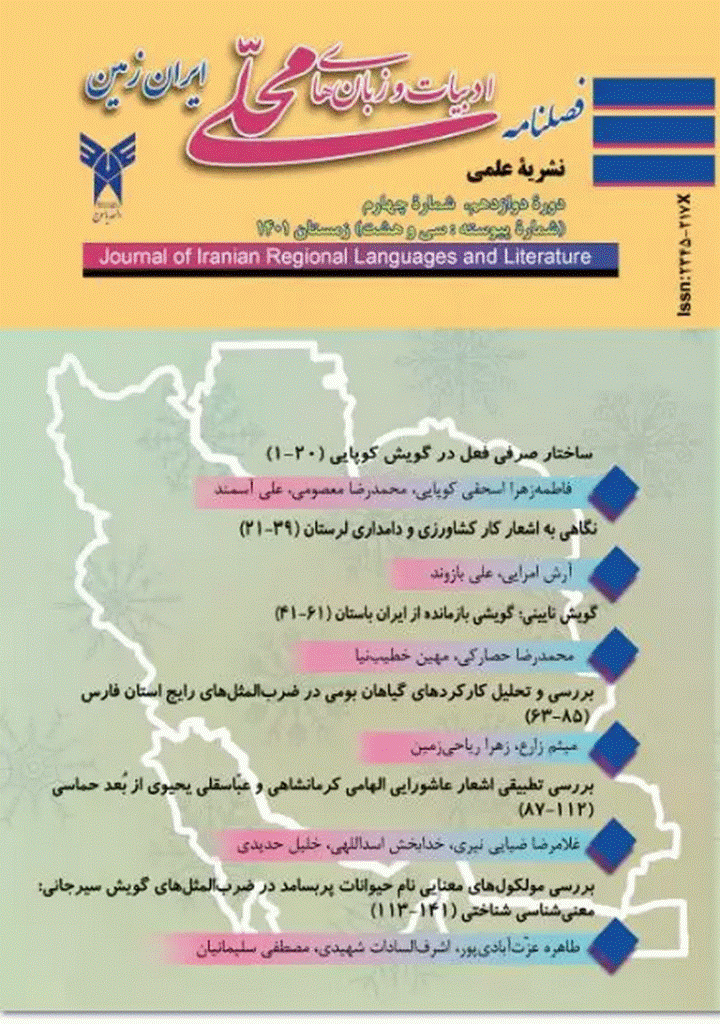 ادبیات و زبان های محلی ایران زمین - زمستان 1401، سال دوازدهم - شماره 4
